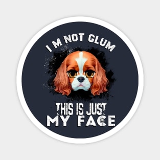 I'm not Glum, this is just my face! Magnet